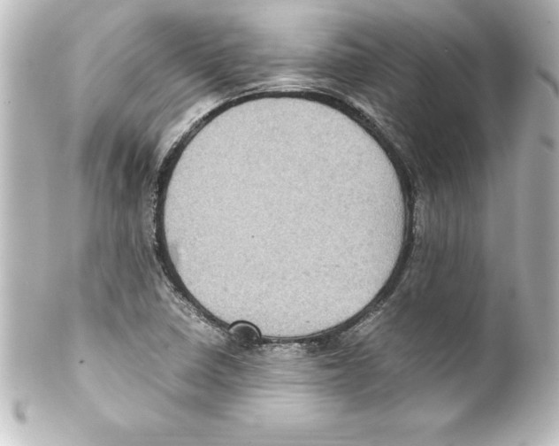 X0000100191410200806271608