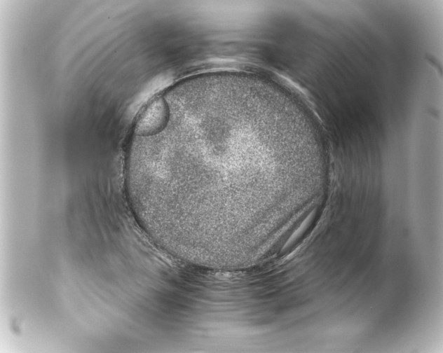 X0000100191411200806271608