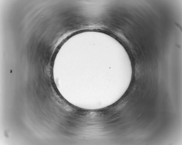 X0000100191412200806271608