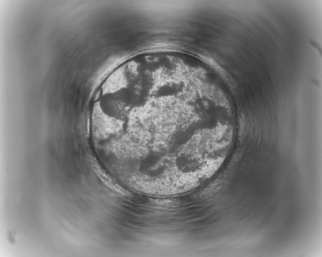 X0000100191413200806271608