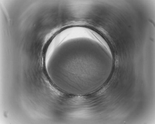 X0000100191414200806271608