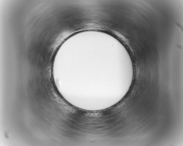 X0000100191415200806271608
