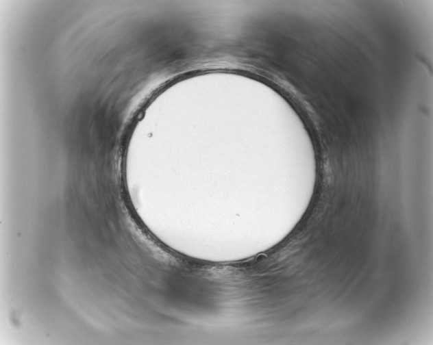 X0000100191416200806271608