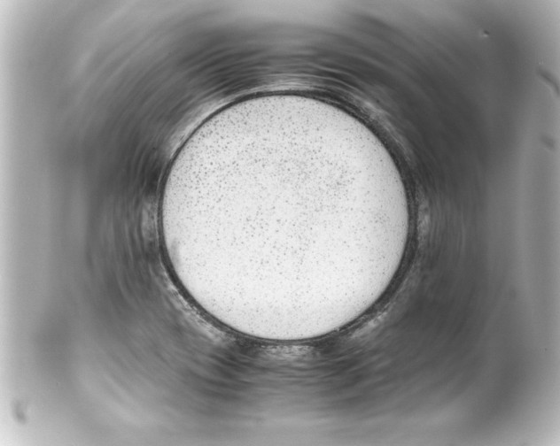 X0000100191417200806271608