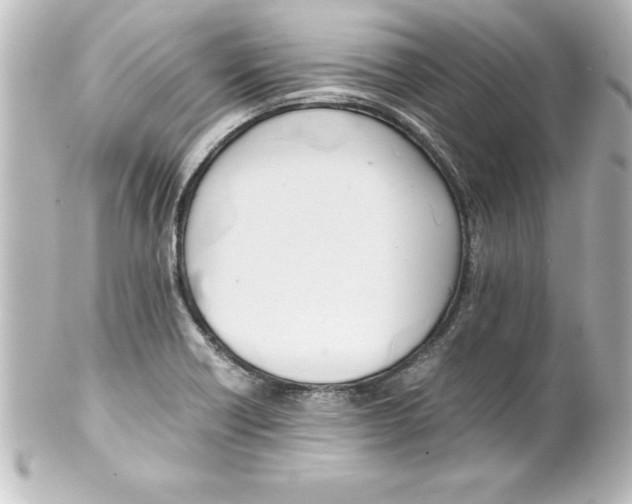 X0000100191418200806271608