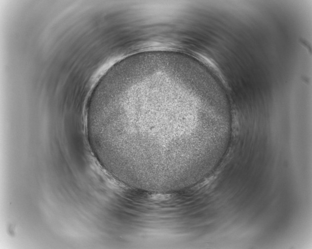 X0000100191419200806271608