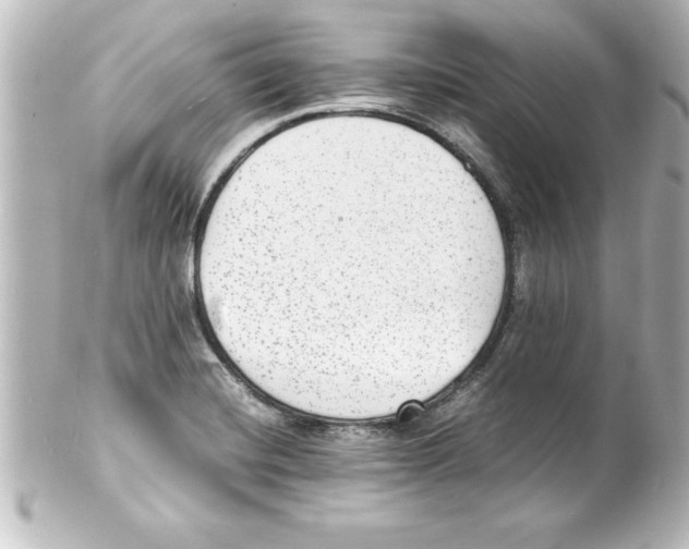 X0000100191420200806271608
