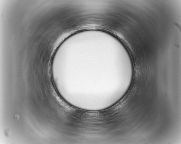 X0000100191421200806271608