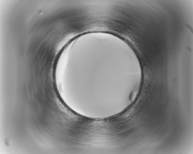 X0000100191422200806271608