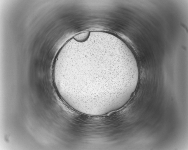 X0000100191423200806271608