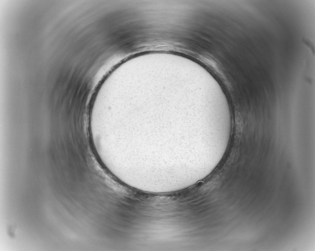 X0000100191424200806271608