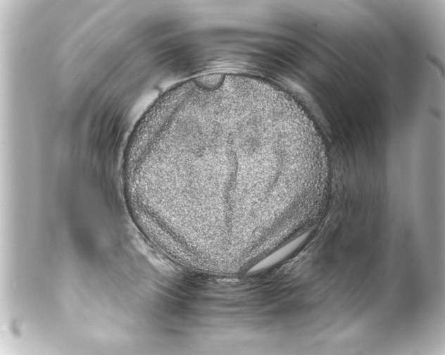 X0000100191427200806271608