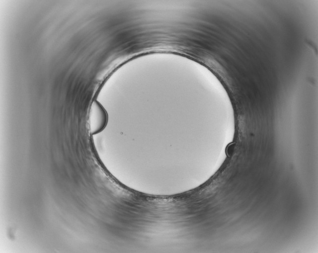 X0000100191428200806271608