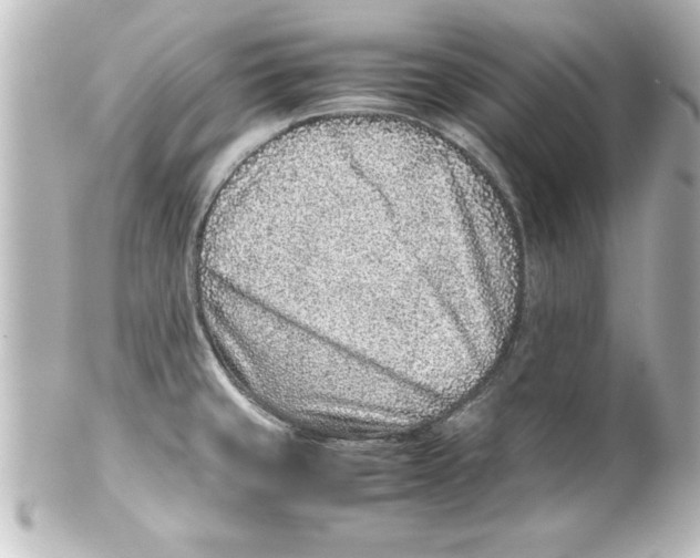 X0000100191429200806271608