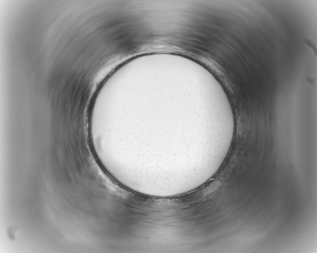 X0000100191430200806271608