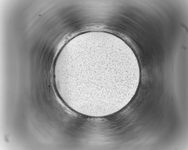 X0000100191432200806271608