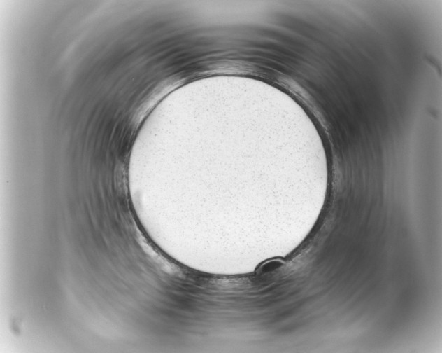 X0000100191433200806271608