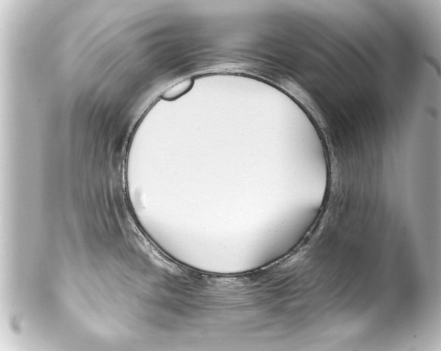 X0000100191436200806271608