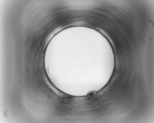 X0000100191437200806271608