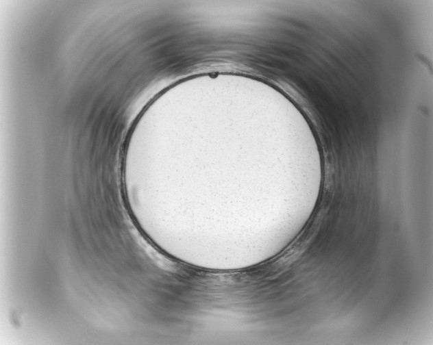 X0000100191438200806271608