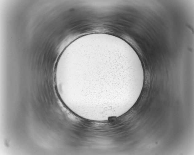 X0000100191439200806271608