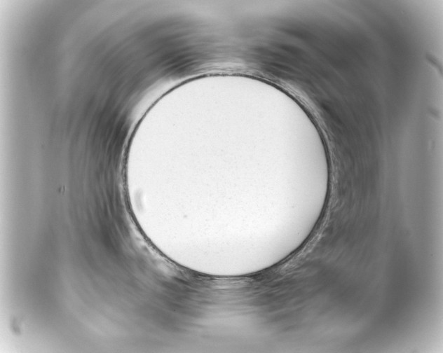 X0000100191440200806271608