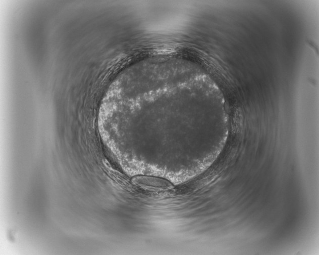 X0000100191441200806271607