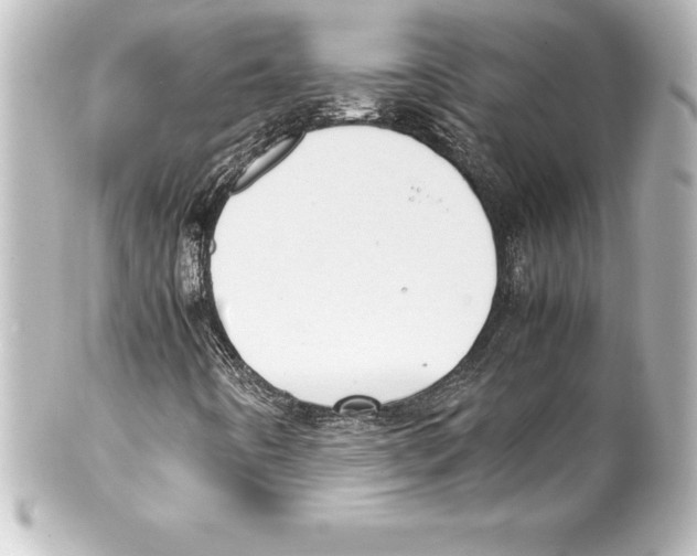 X0000100191442200806271607