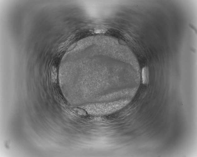 X0000100191443200806271607