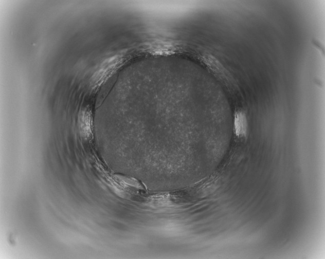 X0000100191444200806271607
