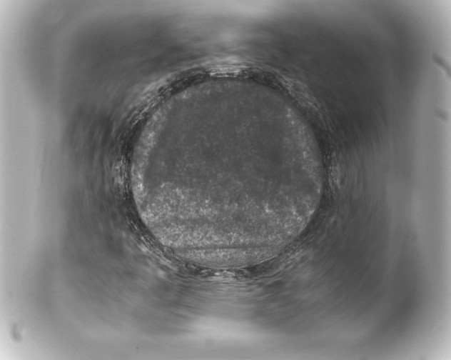 X0000100191445200806271607