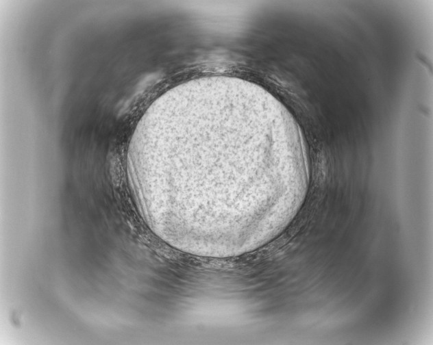 X0000100191446200806271607