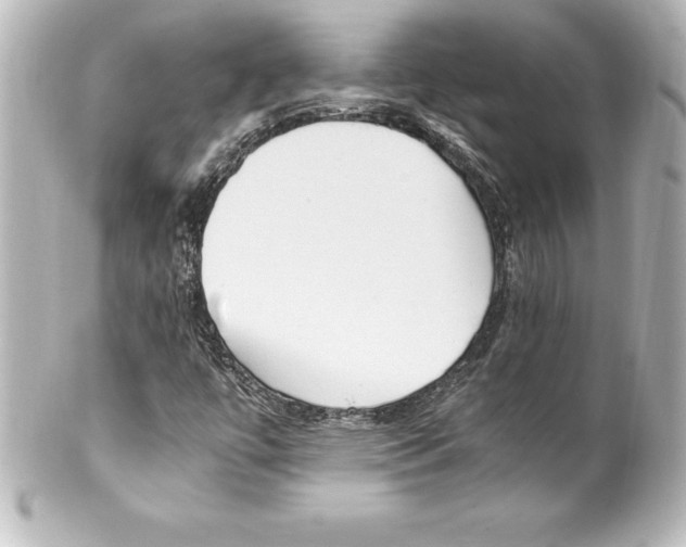 X0000100191447200806271607