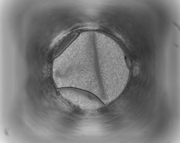 X0000100191448200806271607