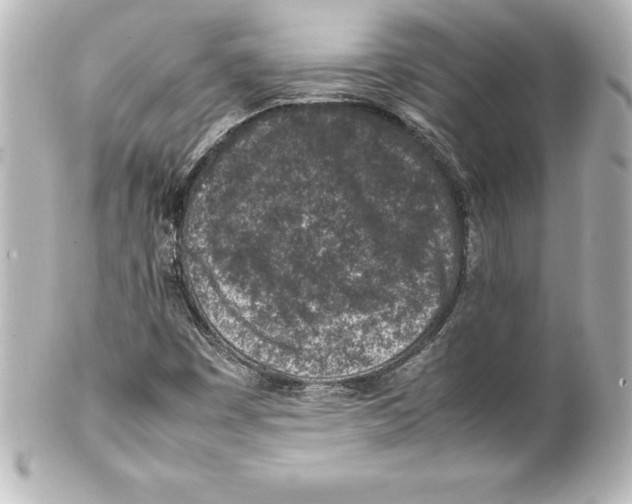 X0000100191449200806271607