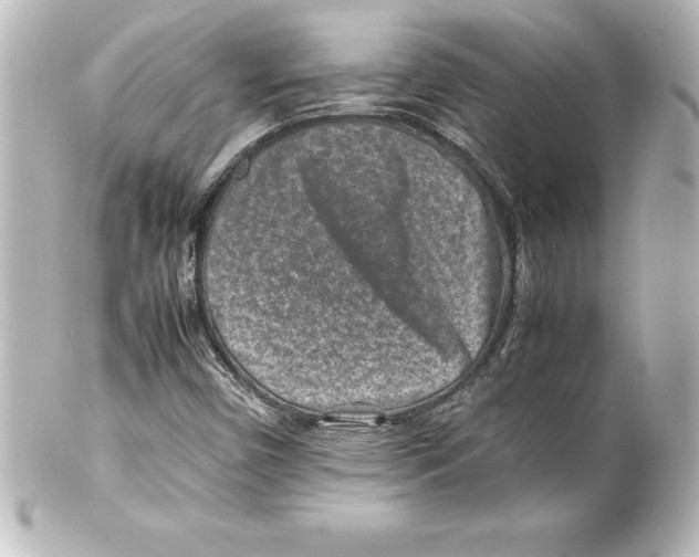 X0000100191450200806271607