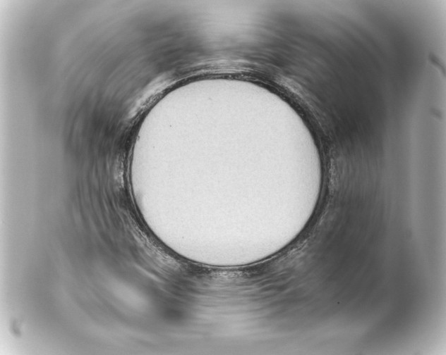 X0000100191451200806271607