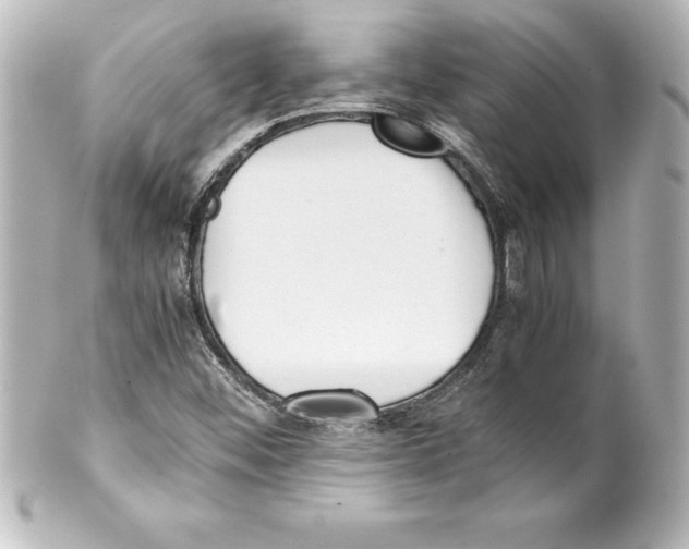 X0000100191452200806271607