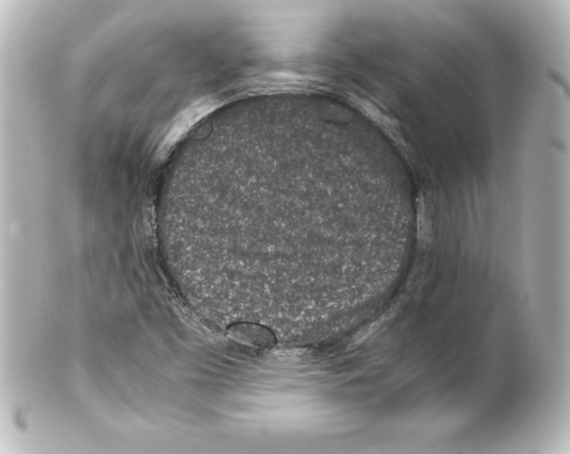 X0000100191453200806271607