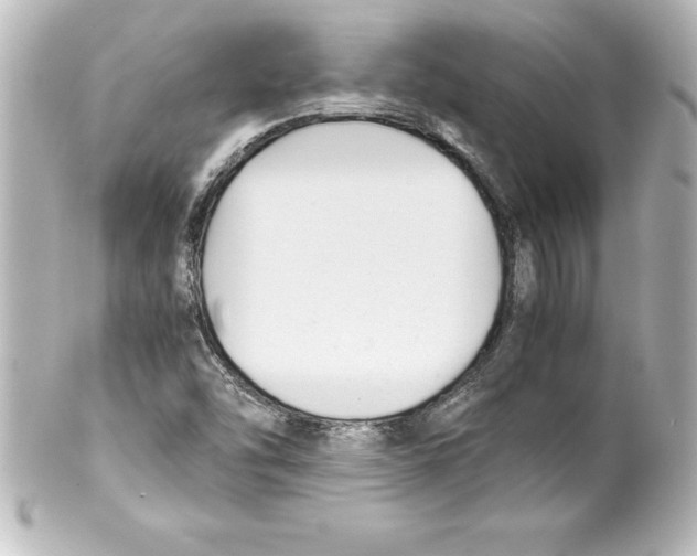 X0000100191454200806271607