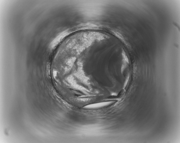 X0000100191455200806271607