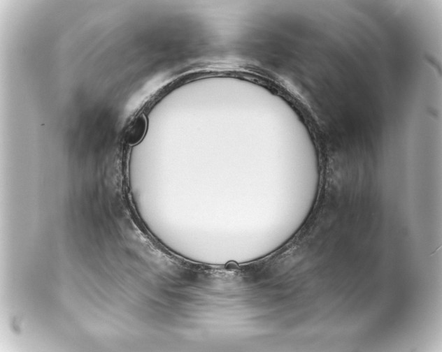 X0000100191456200806271607