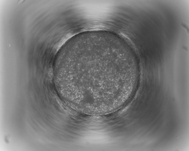 X0000100191457200806271607