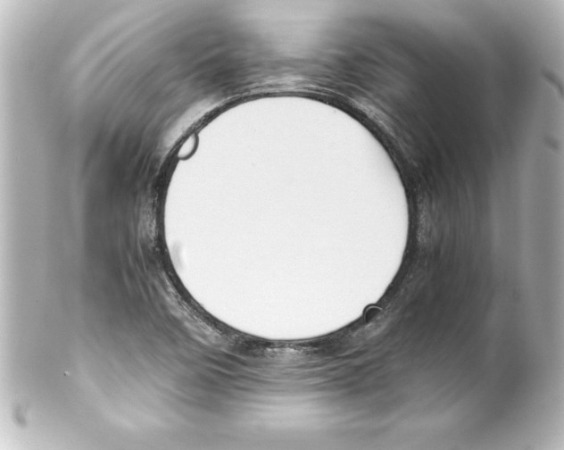 X0000100191458200806271607