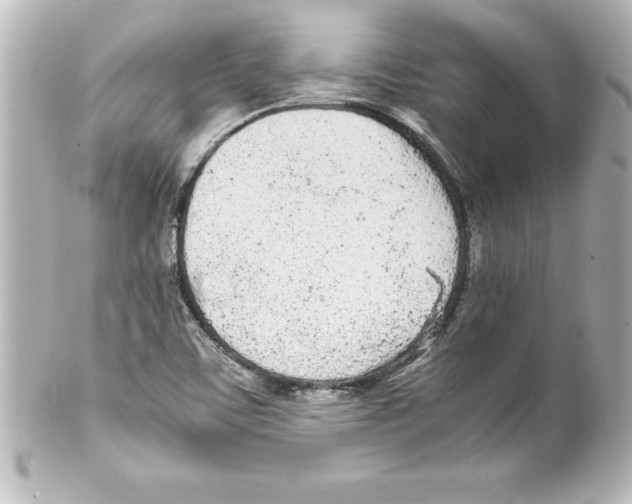 X0000100191459200806271607