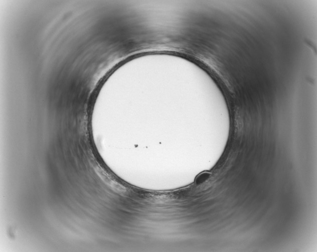 X0000100191460200806271607