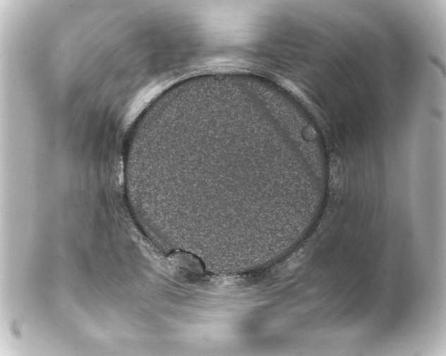 X0000100191461200806271607
