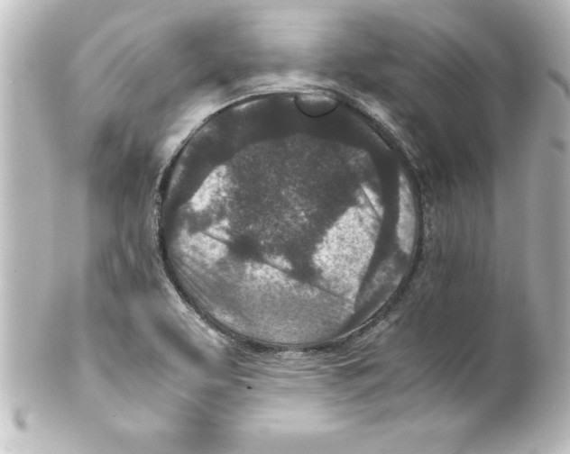 X0000100191463200806271607