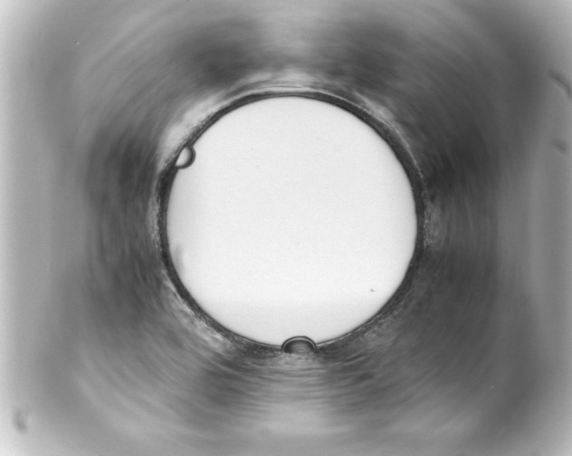 X0000100191464200806271607
