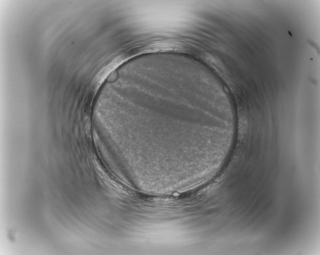 X0000100191465200806271607